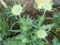 20120604075459