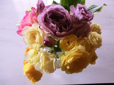f:id:bluemoonbell:20120609061448j:image