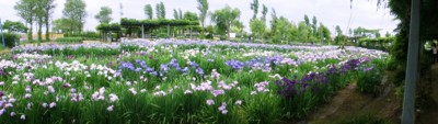 f:id:bluemoonbell:20120614094728j:image f:id:bluemoonbell:20120614094728j:image