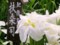 20120614094922