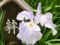 20120614095009