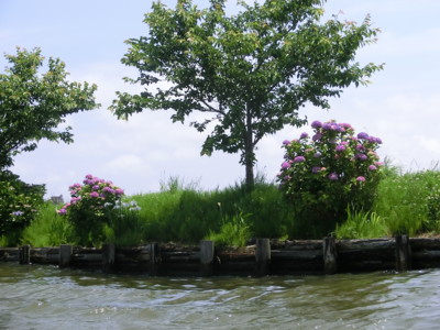 f:id:bluemoonbell:20120614103329j:image:w360