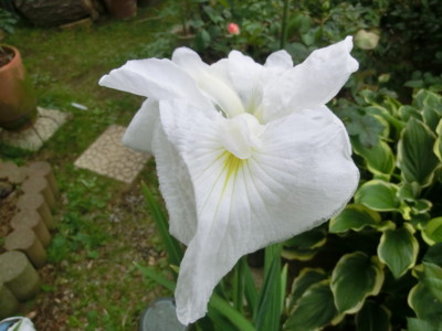 f:id:bluemoonbell:20120615170419j:image