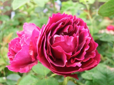 f:id:bluemoonbell:20120619070126j:image