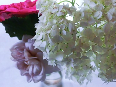 f:id:bluemoonbell:20120620165724j:image