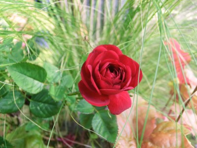 20120624144641