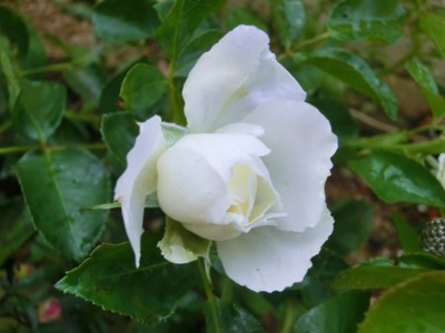 20120627063832