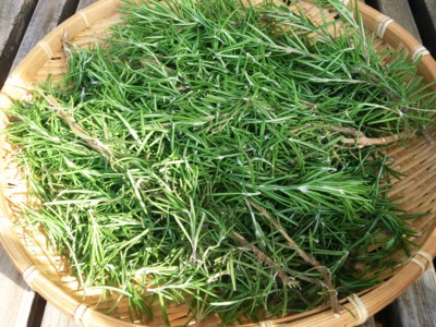 f:id:bluemoonbell:20120627071056j:image