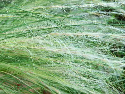 f:id:bluemoonbell:20120628111251j:image