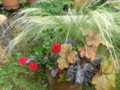 f:id:bluemoonbell:20120628111515j:image:medium:left