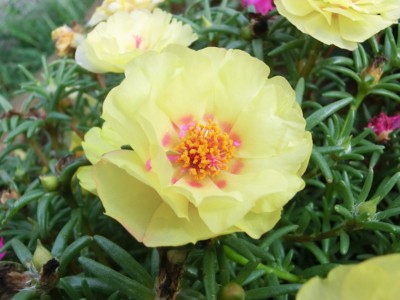 f:id:bluemoonbell:20120831085302j:image