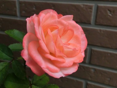 20121017134551
