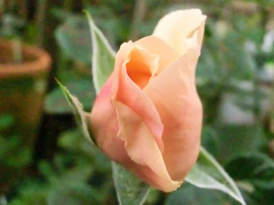 20121031131224