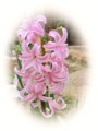 f:id:bluemoonbell:20130324112149j:image:medium:left