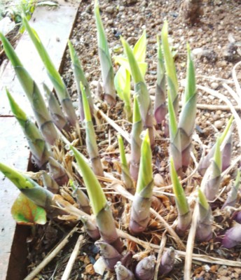 20130406061557