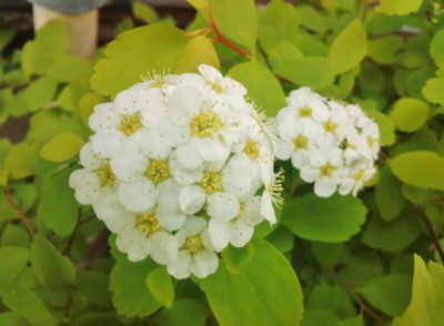 f:id:bluemoonbell:20130418091139j:image