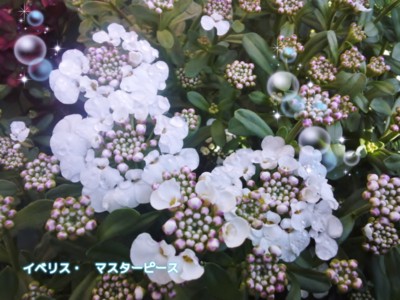 f:id:bluemoonbell:20130422075101j:image