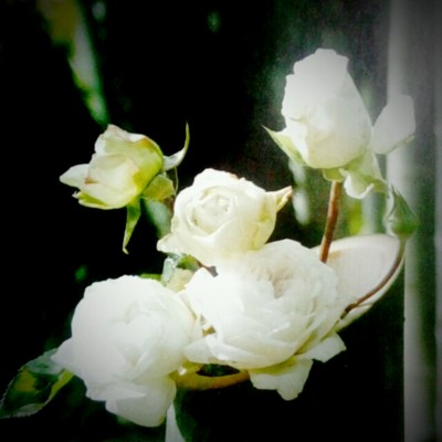 20130501071926
