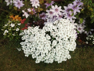 f:id:bluemoonbell:20130504055026j:image