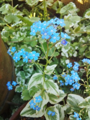 20130505162743