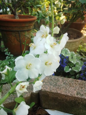 20130505162829