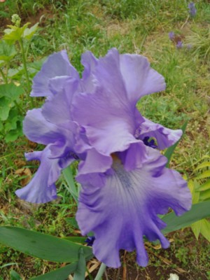 20130515061735