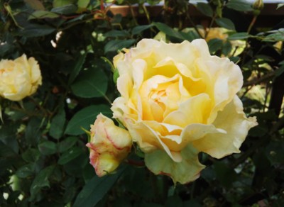 20130521144944