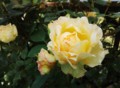 20130521144944