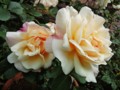 20130522072245