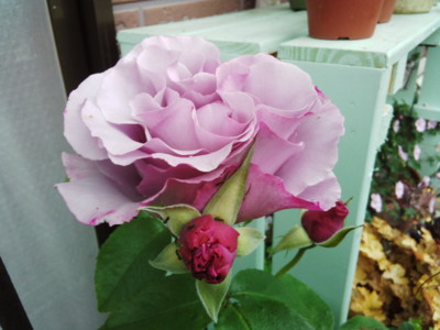 20130523052818