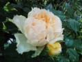 20130523053037