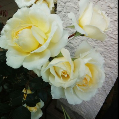 20130604164254