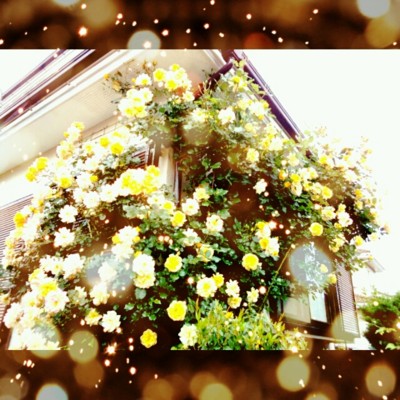 20130604164256