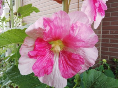20130607125724