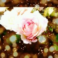 20130610163459