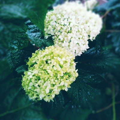 f:id:bluemoonbell:20130614131302j:image
