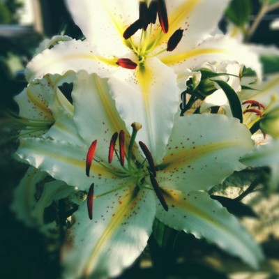 f:id:bluemoonbell:20130707081926j:image