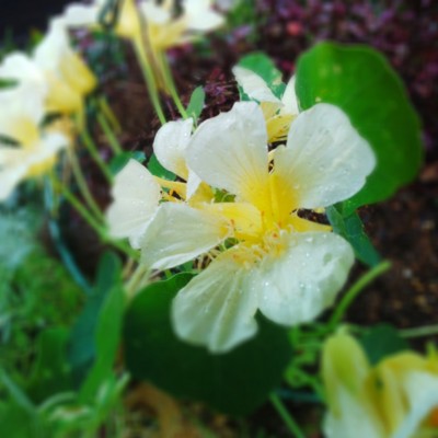 f:id:bluemoonbell:20130711072221j:image