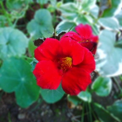 f:id:bluemoonbell:20130711072240j:image