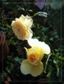 20130712062125
