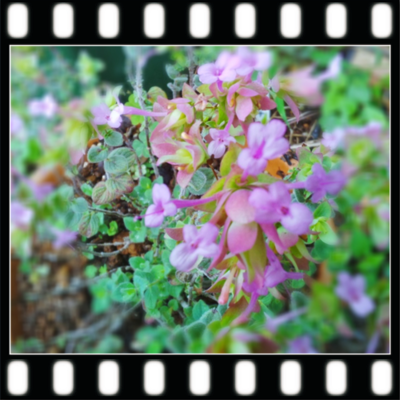 f:id:bluemoonbell:20130717162938p:image