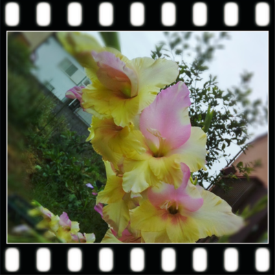 f:id:bluemoonbell:20130717162944p:image