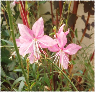 f:id:bluemoonbell:20130721213435j:image