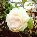20131109171651