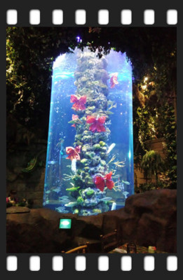 f:id:bluemoonbell:20131204155953j:image:left
