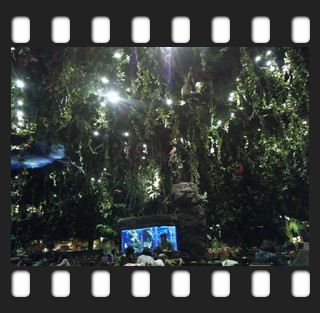 f:id:bluemoonbell:20131204155954j:image