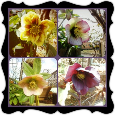 f:id:bluemoonbell:20140308084927j:image
