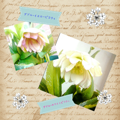 f:id:bluemoonbell:20140324211734p:image