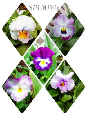 f:id:bluemoonbell:20140404220808j:image