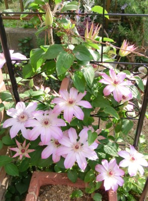 f:id:bluemoonbell:20140428072813j:image:left